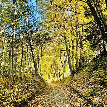 Sejour Lumineux Avec Vue Sur Les Cimes *